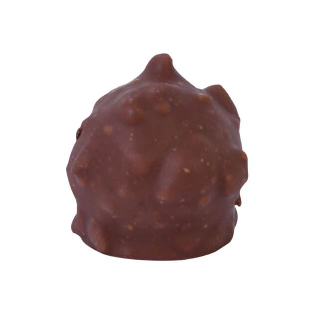 Perle rocher croquant lait Ganache